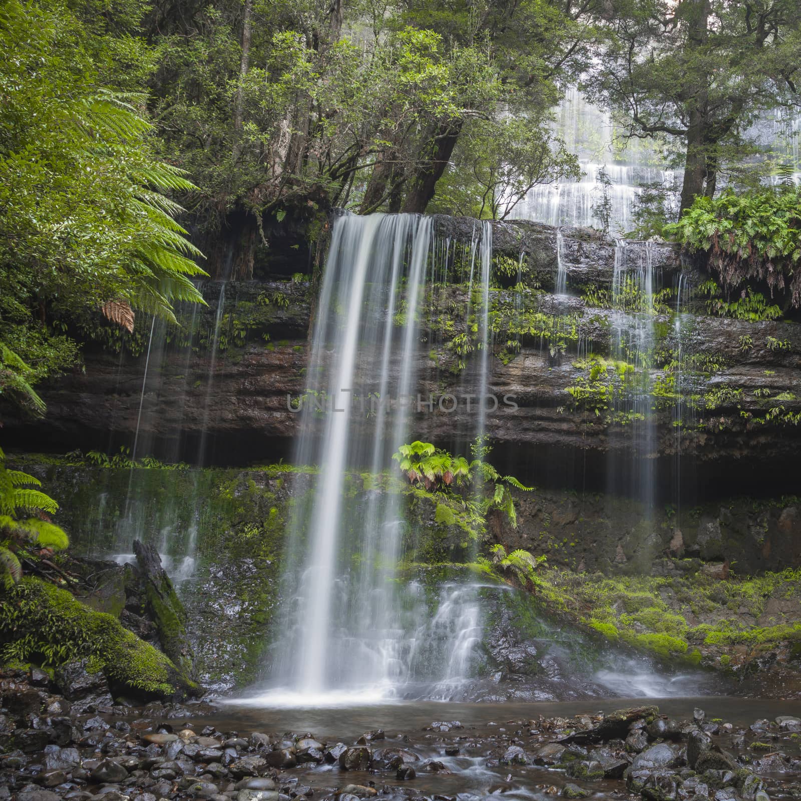 Russell Falls, Mount Field National park, Tasmania, Australia by mariusz_prusaczyk