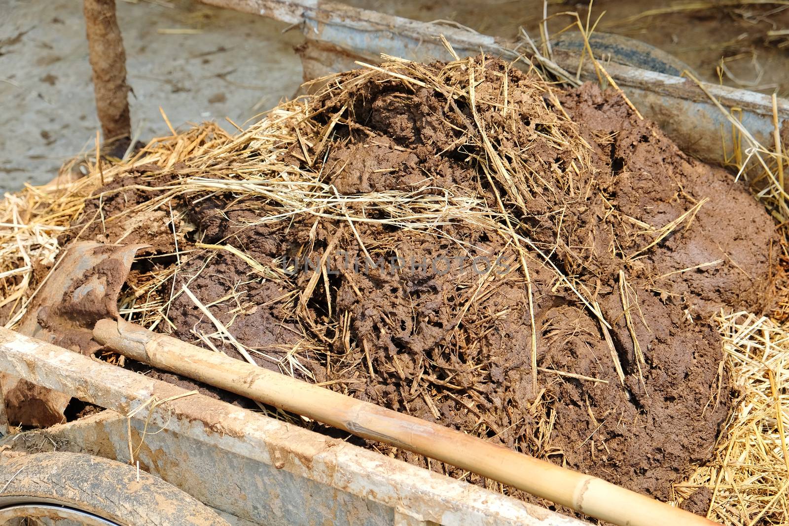 farmyard manure close up