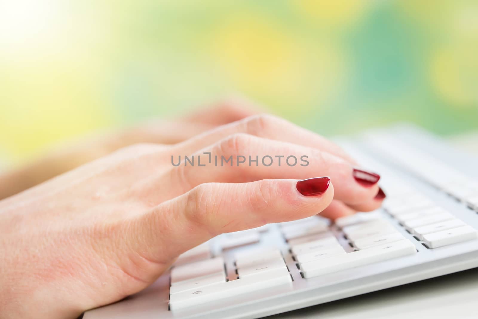 Female hands or woman office worker typing on the keyboard by pixinoo