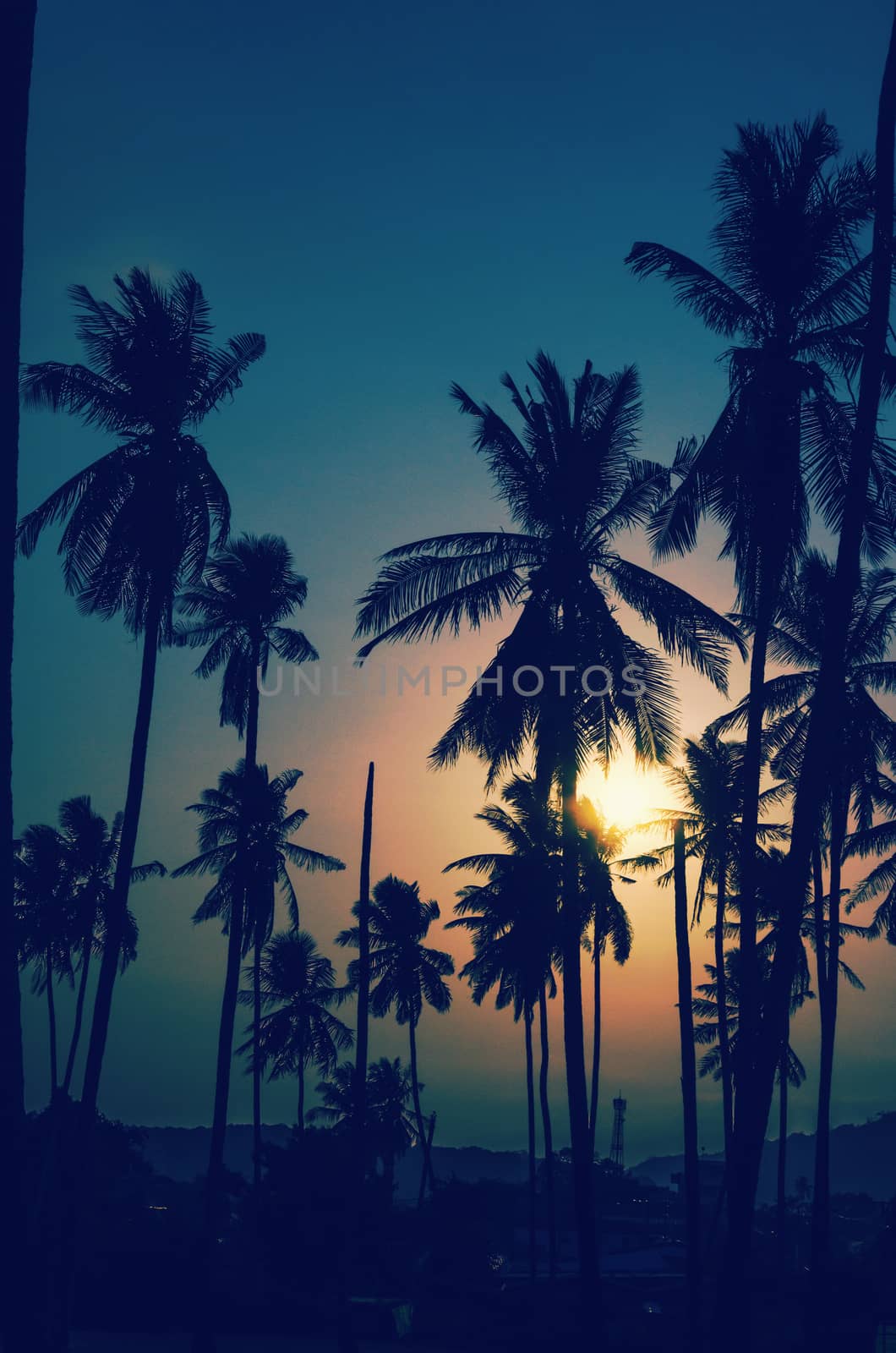 Coconut palms Vintage by aoo3771