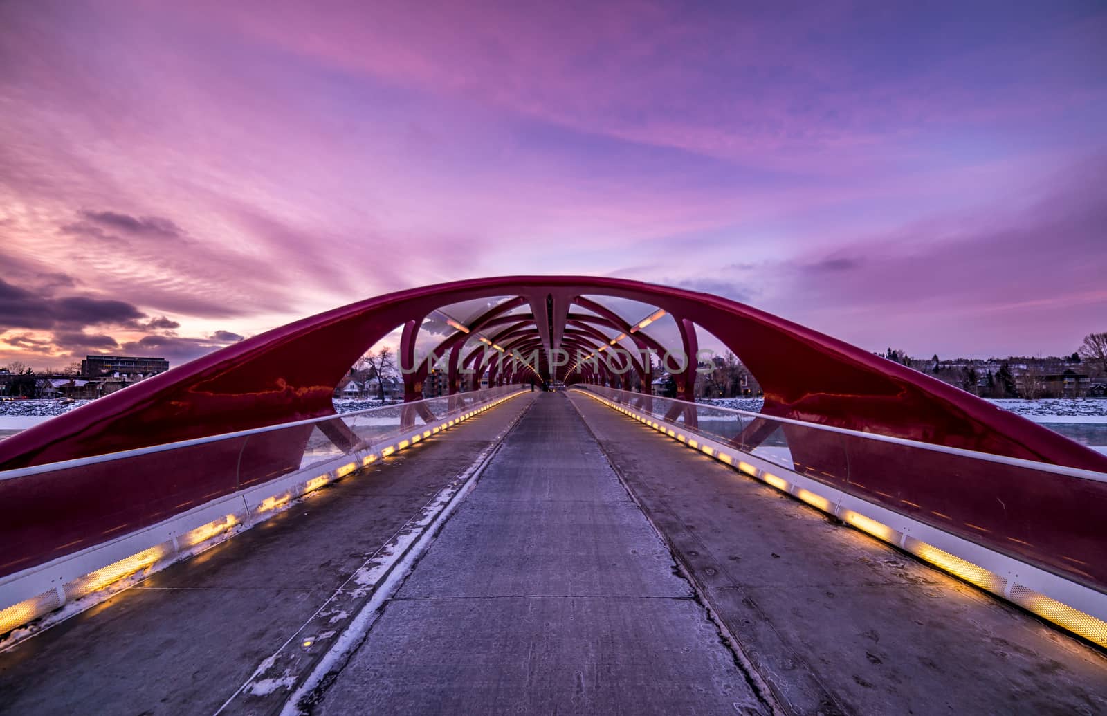 center view of peace bridge downtown calgary alberta winter