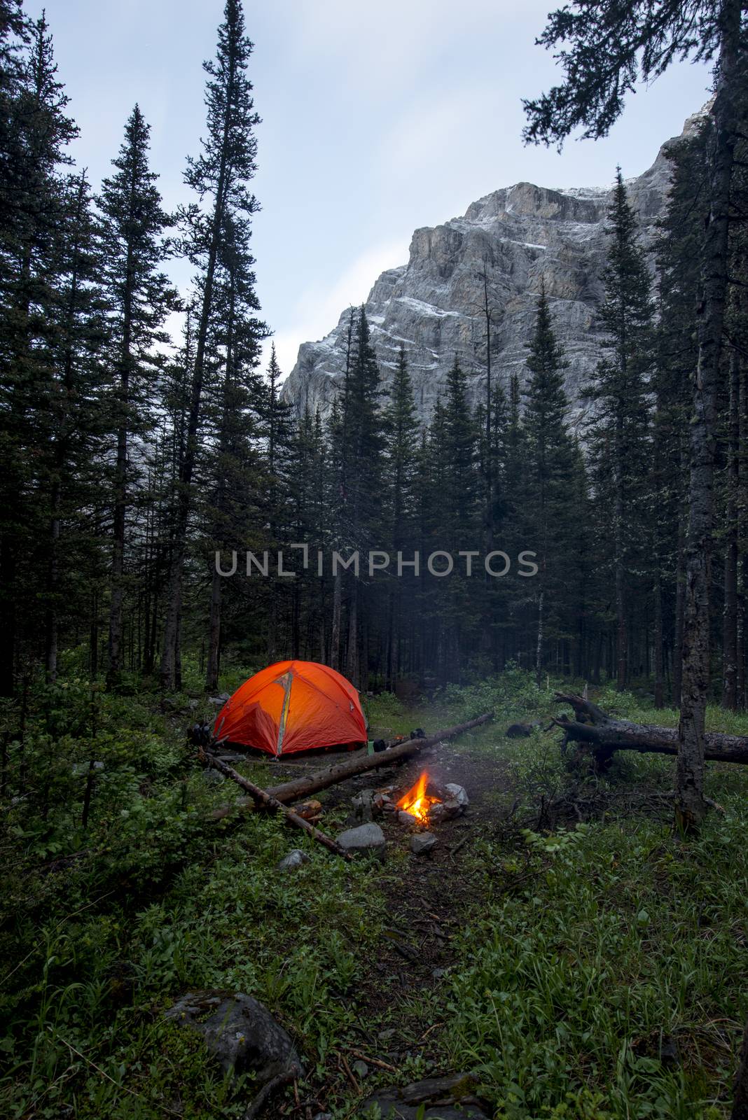 Tent and campfire wild camping in a forest near mountains