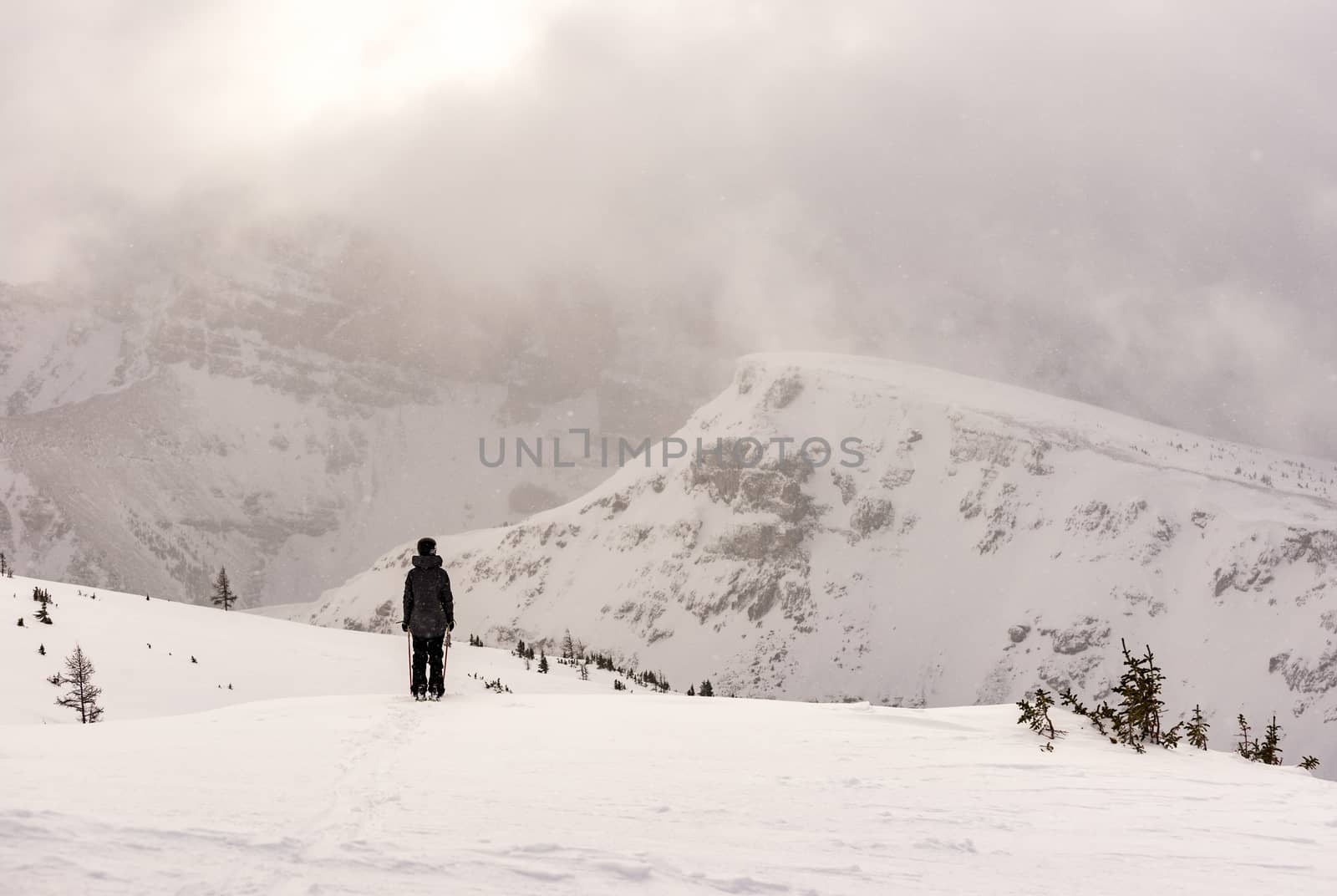 Female skier in mountains skiing fluffy powder