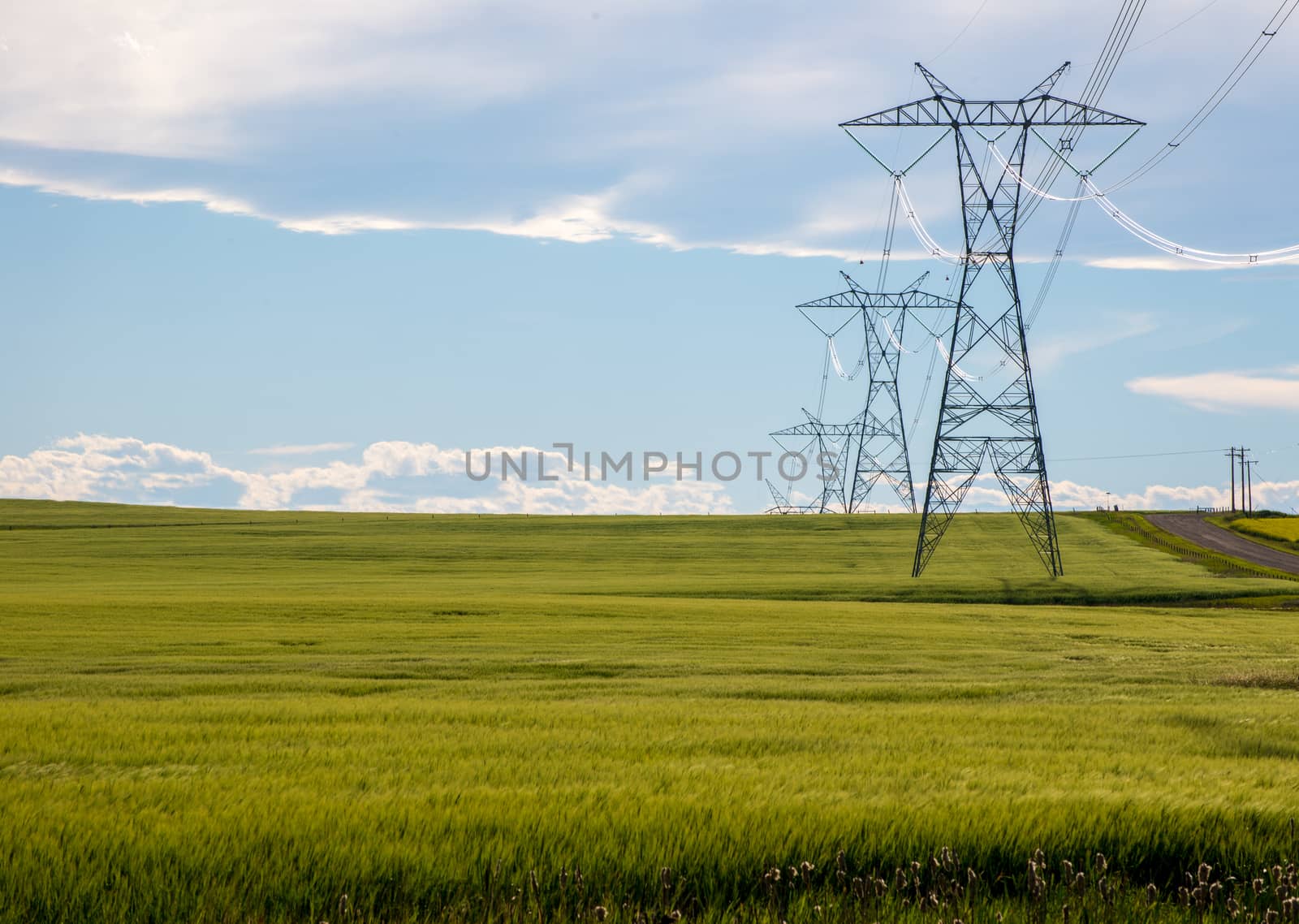 Power lines in a farm field on a sunny day with clouds