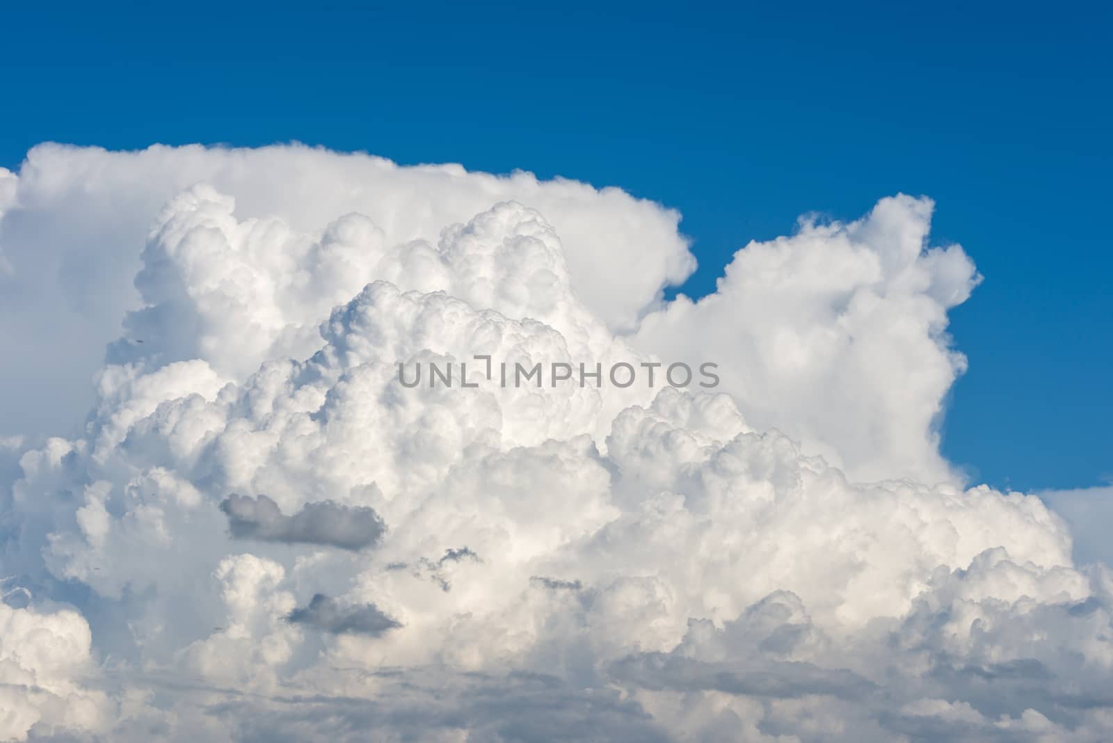 Cumulus clouds forming on blue summer day