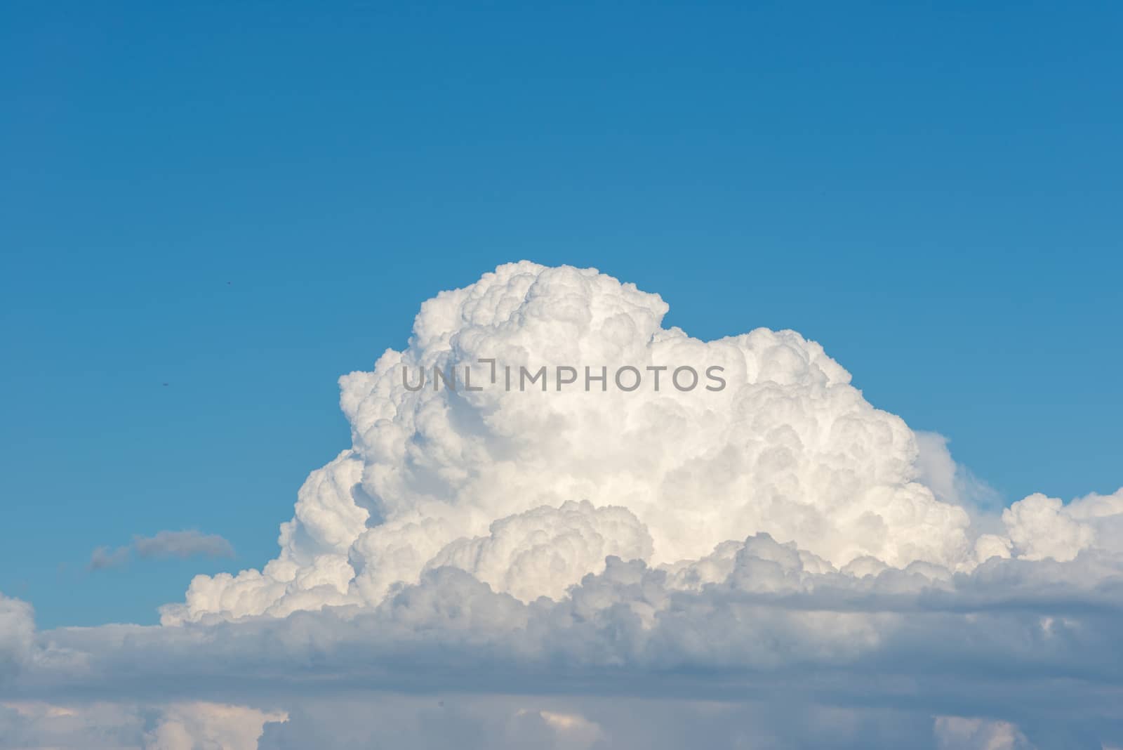 Cumulus clouds forming on blue summer day