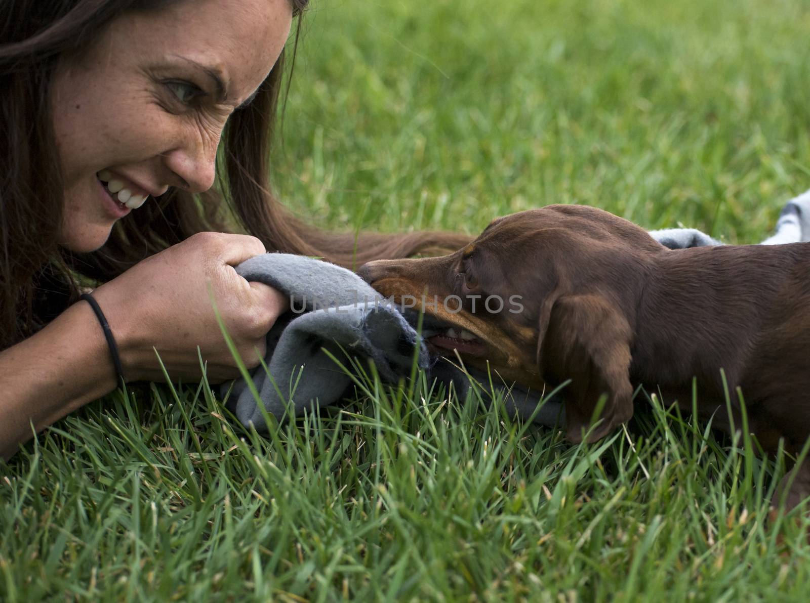 Girl playing tug-o-war with her dog on grass