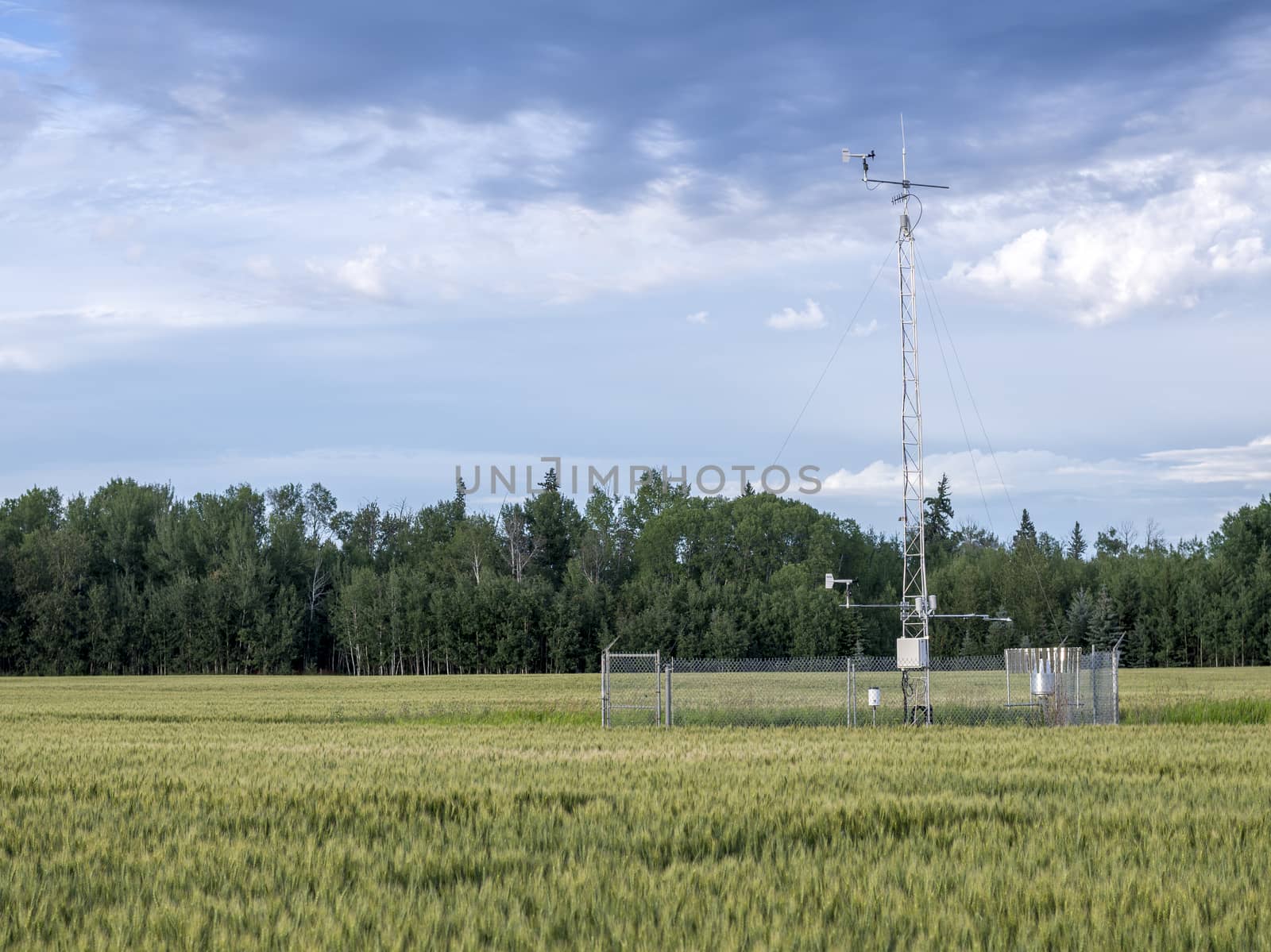 Weather station in a wheat field summer day