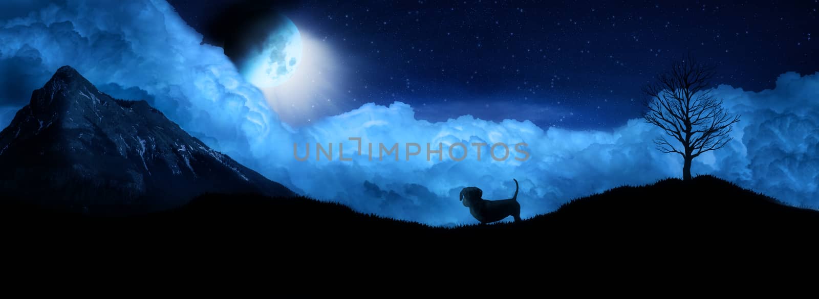 silhouette of dog looking at the moon with clouds