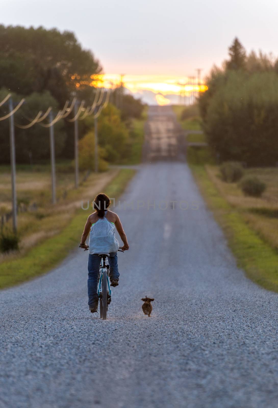 Farm girl bikes down dirt road with dog at sunset