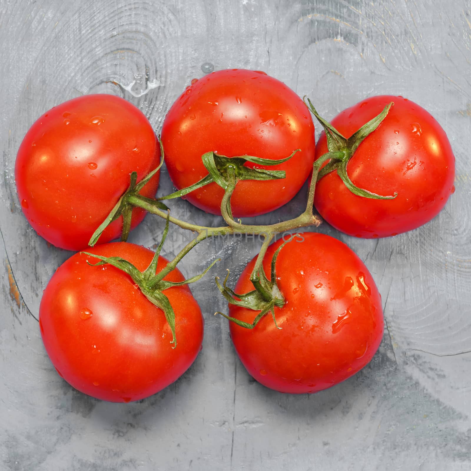 Fresh red tomatoes on a branch, gray wood background. The view from the top.
