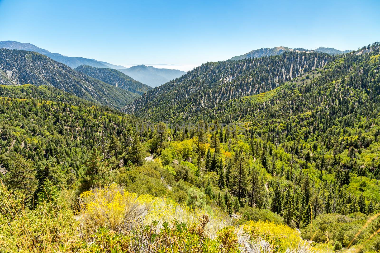 The view down Big Bear Creek Valley in the San Bernardino National Forest from Butler Peak