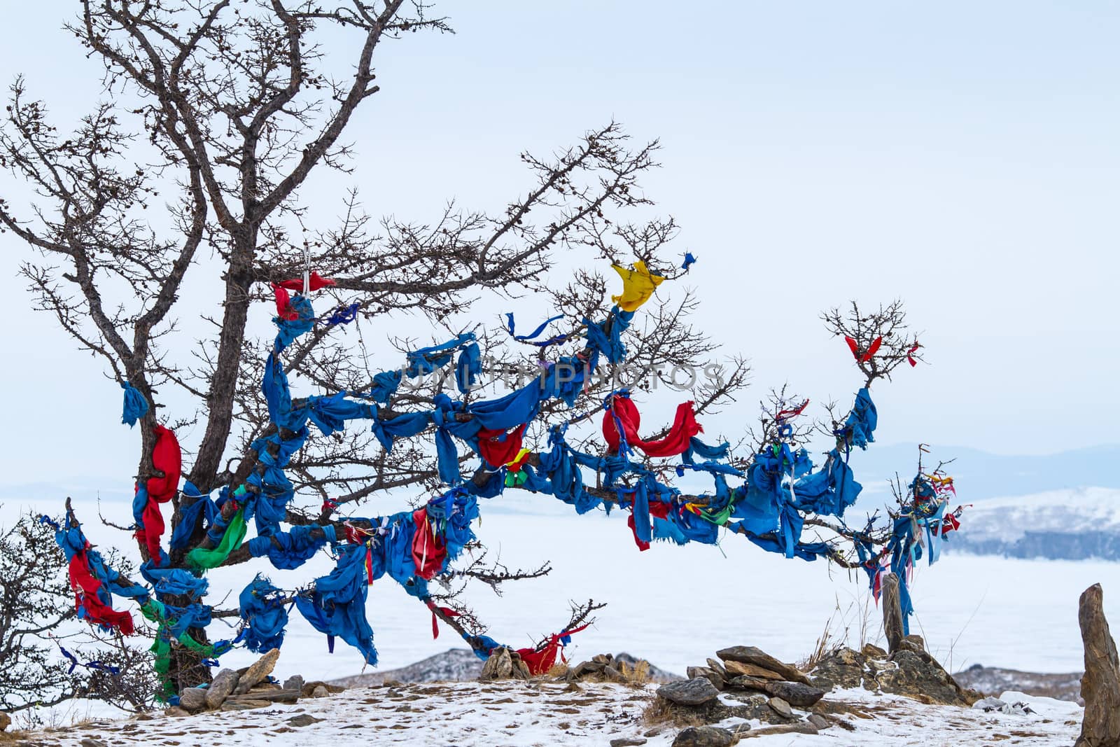 Ribbons on the tree. Winter in mountains