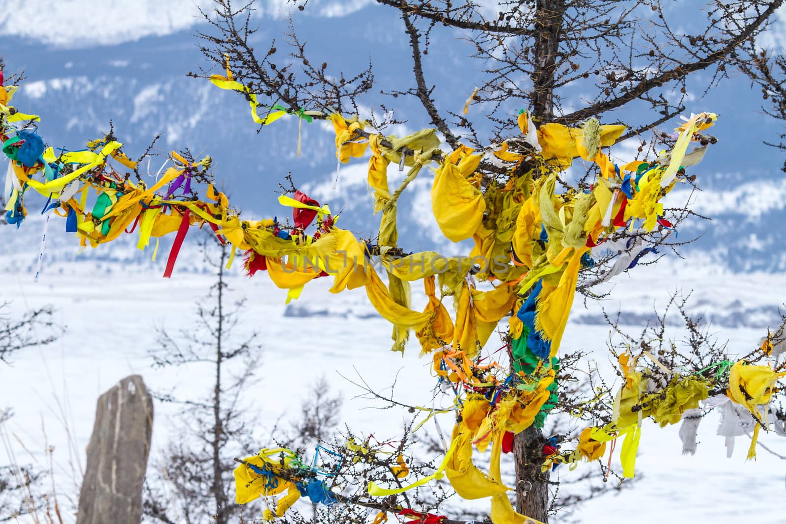 Ribbons on the tree. Winter in mountains