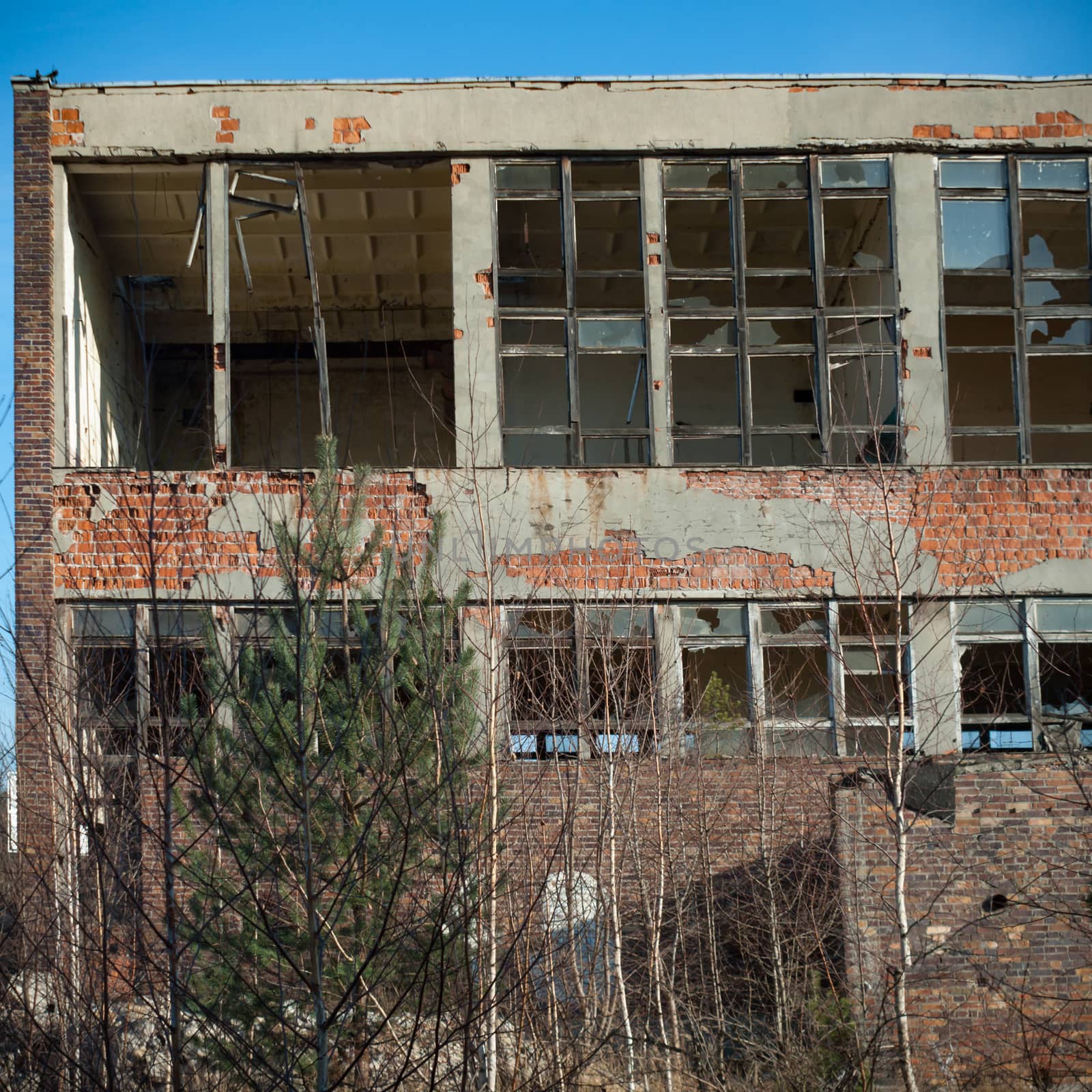 discarded ruin with old windows and wall, industrial window in concrete wall