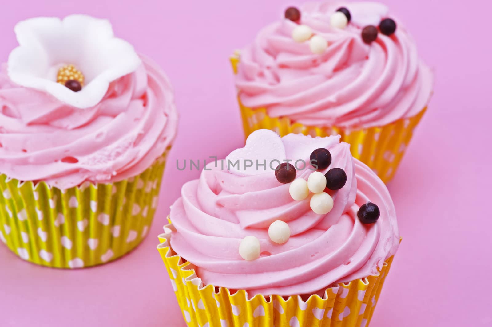 Three sweet cupcake with chocolate balls isolated on a pink background 