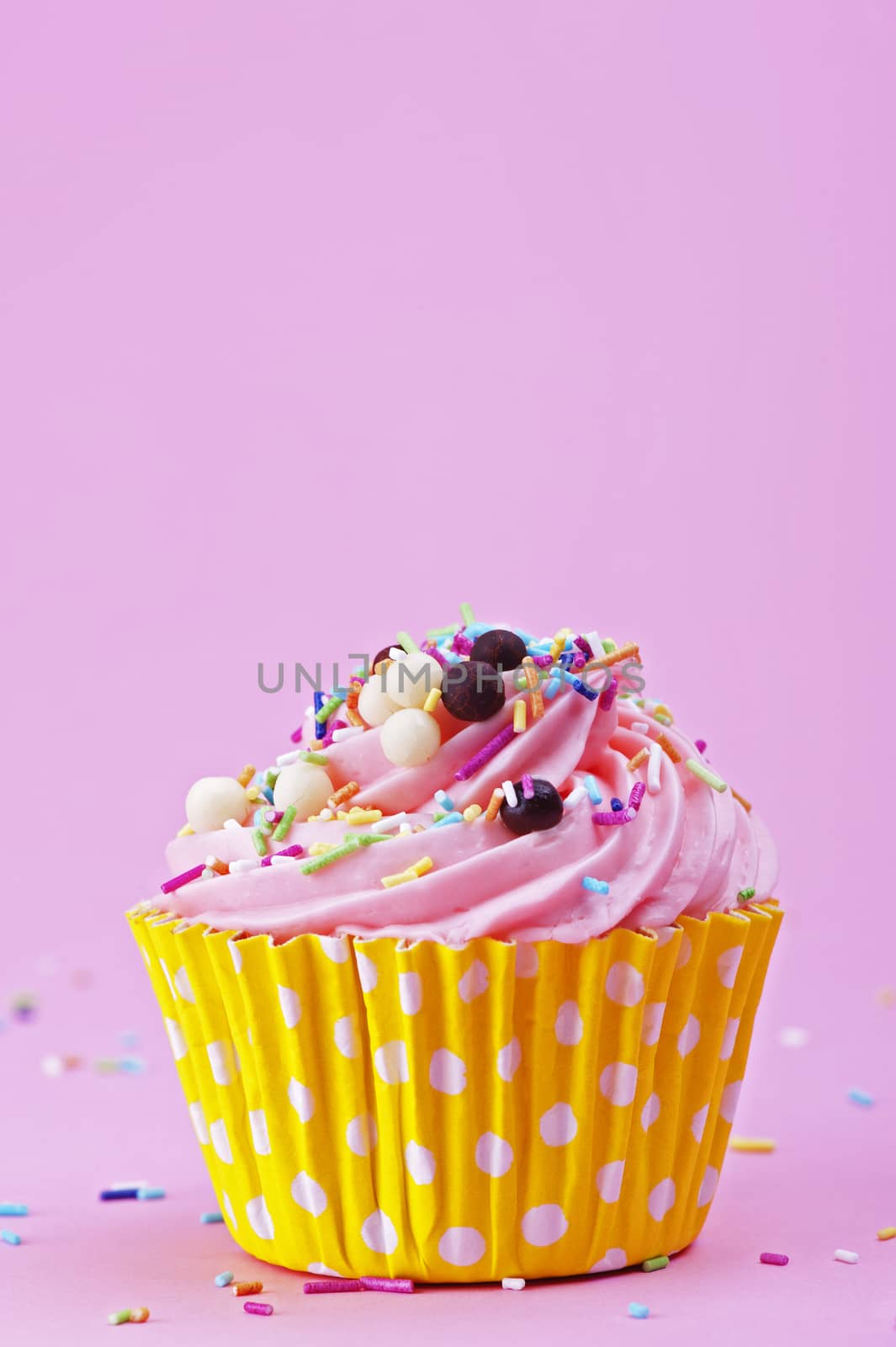 Sweet cupcake with sprinkles and chocolate balls isolated on a pink background 