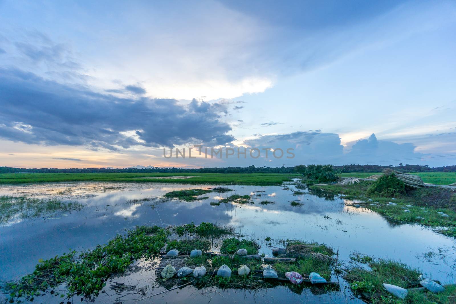 green field and blue sky with light clouds in Gopalgonj, bangladesh