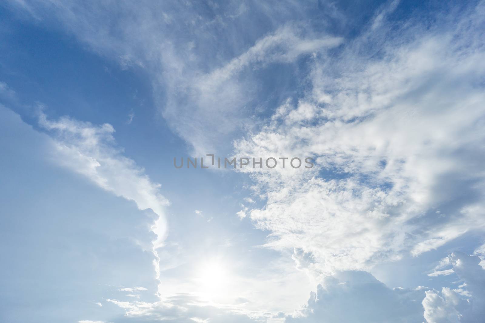 green field and blue sky with light clouds in Gopalgonj, bangladesh