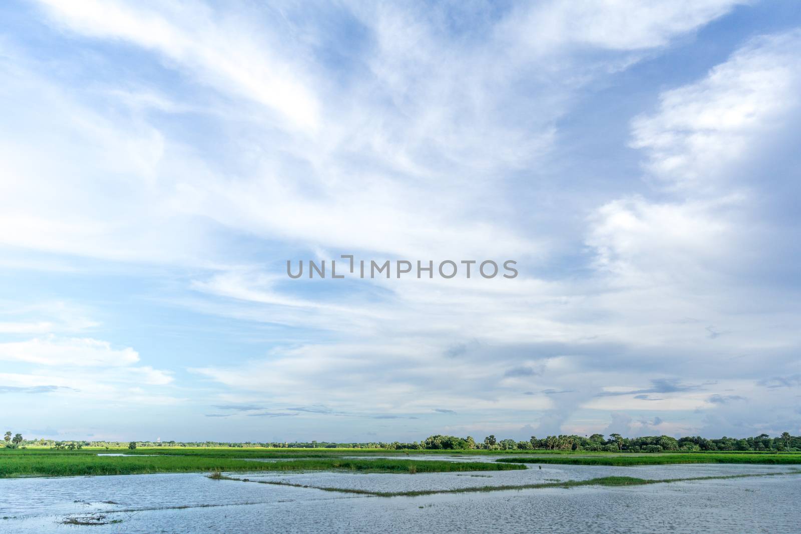 green field and blue sky with light clouds in Gopalgonj, bangladesh