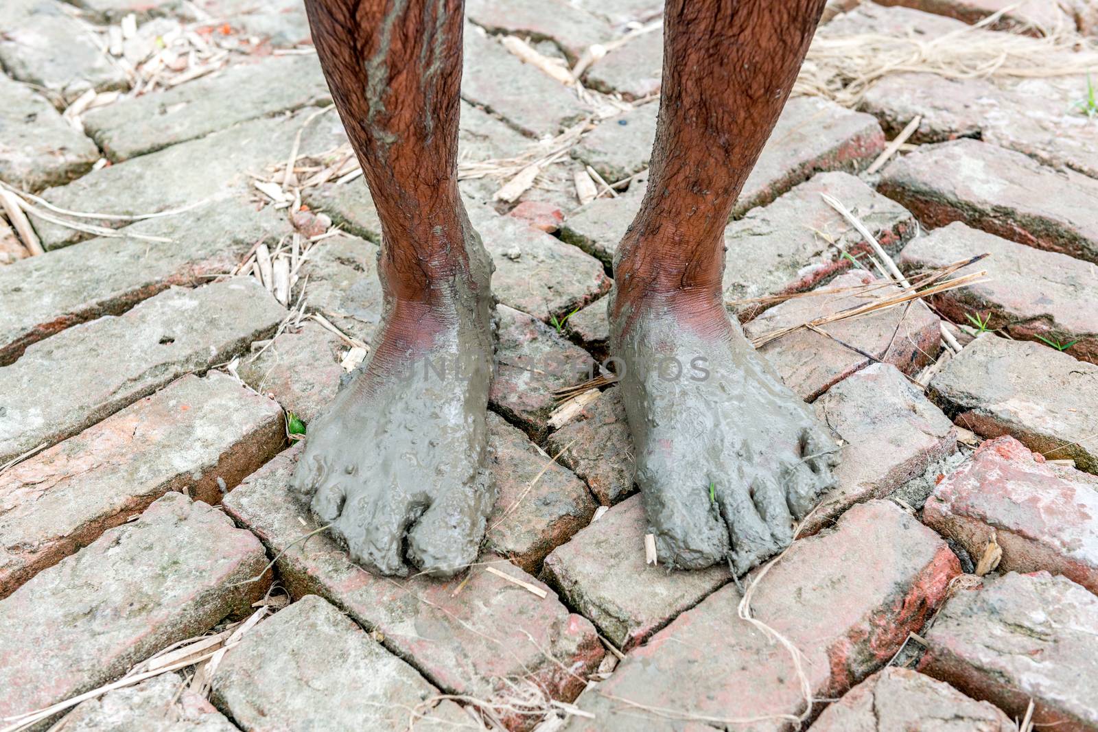 Gopalgonj, Bangladesh - September 20, 2016: Legs of a labor with muddy at Gopalgonj, Bangladesh