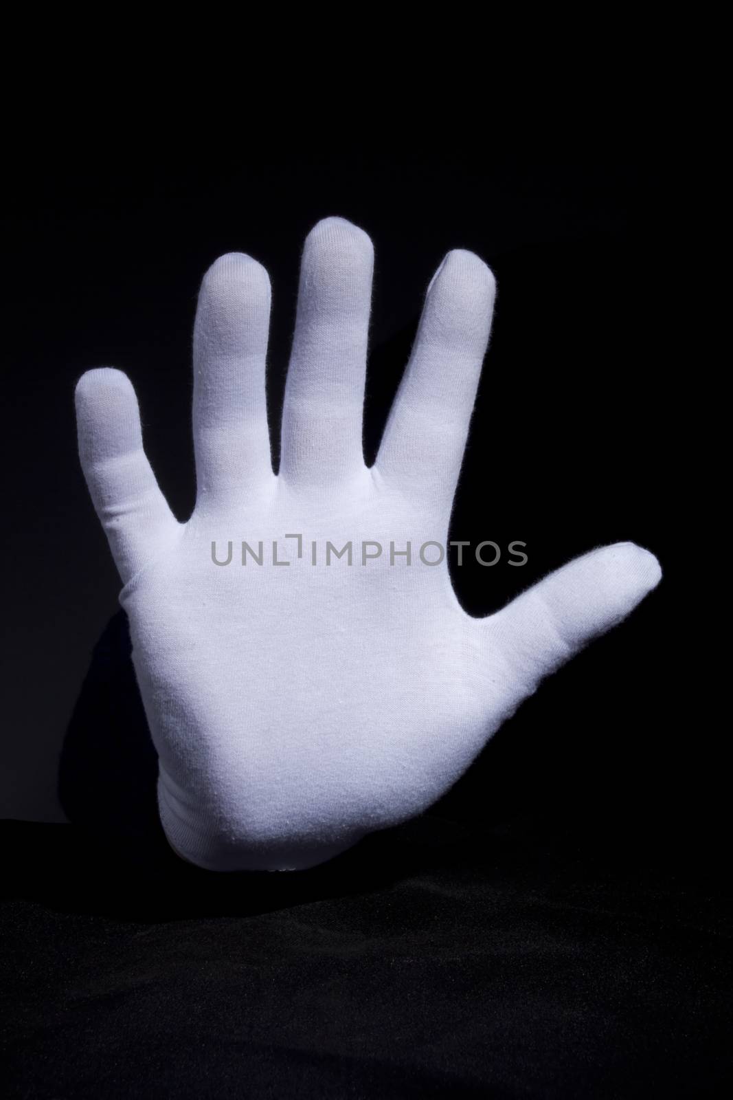 Hand in a white glove by VIPDesignUSA