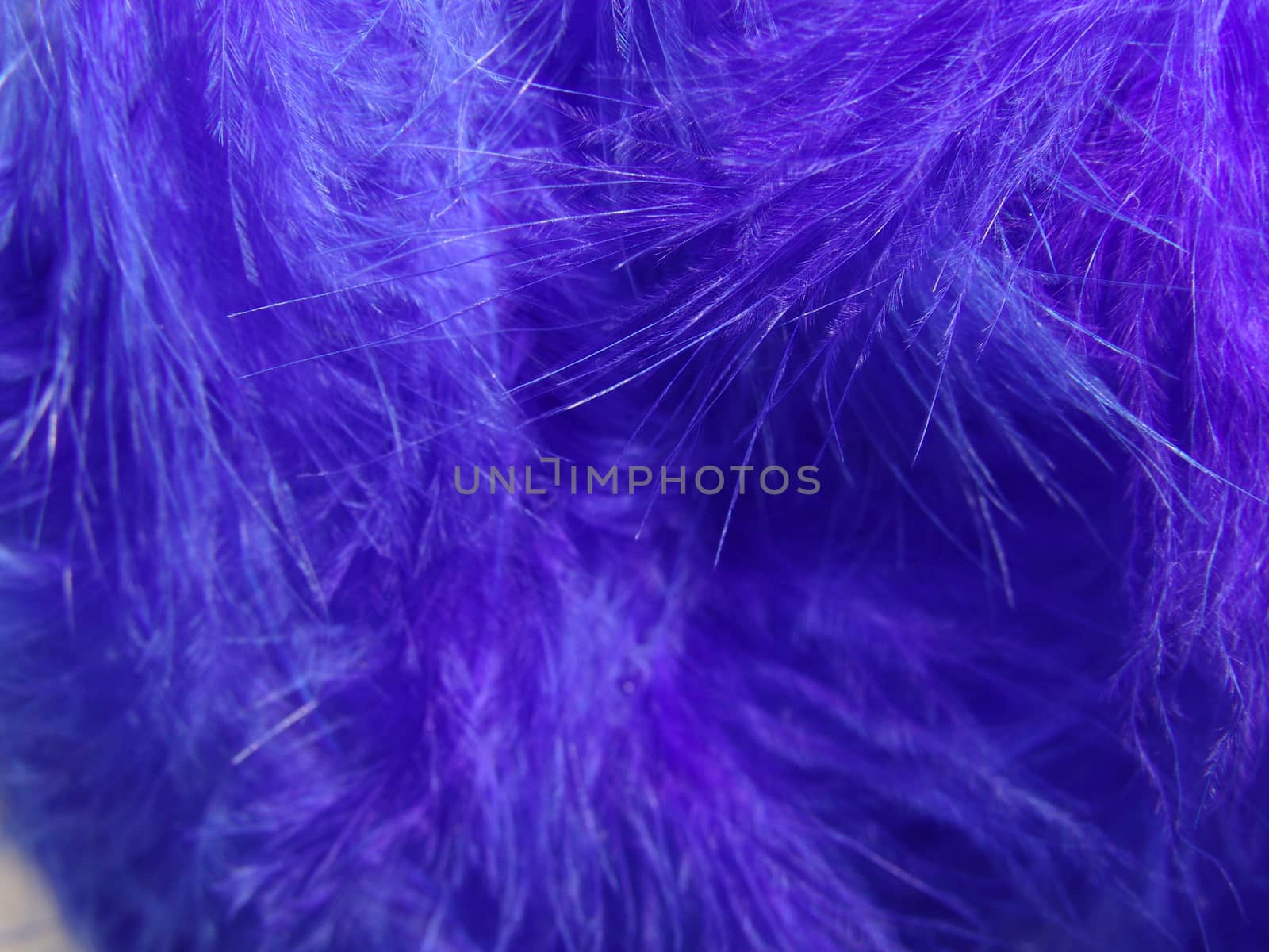 Background for design. Set of fluffy feathers. by elena_vz
