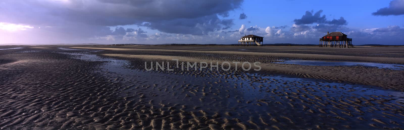 Fishermen houses in Bassin Arcachon, Cabanes Tchanquees, Aerial view, France