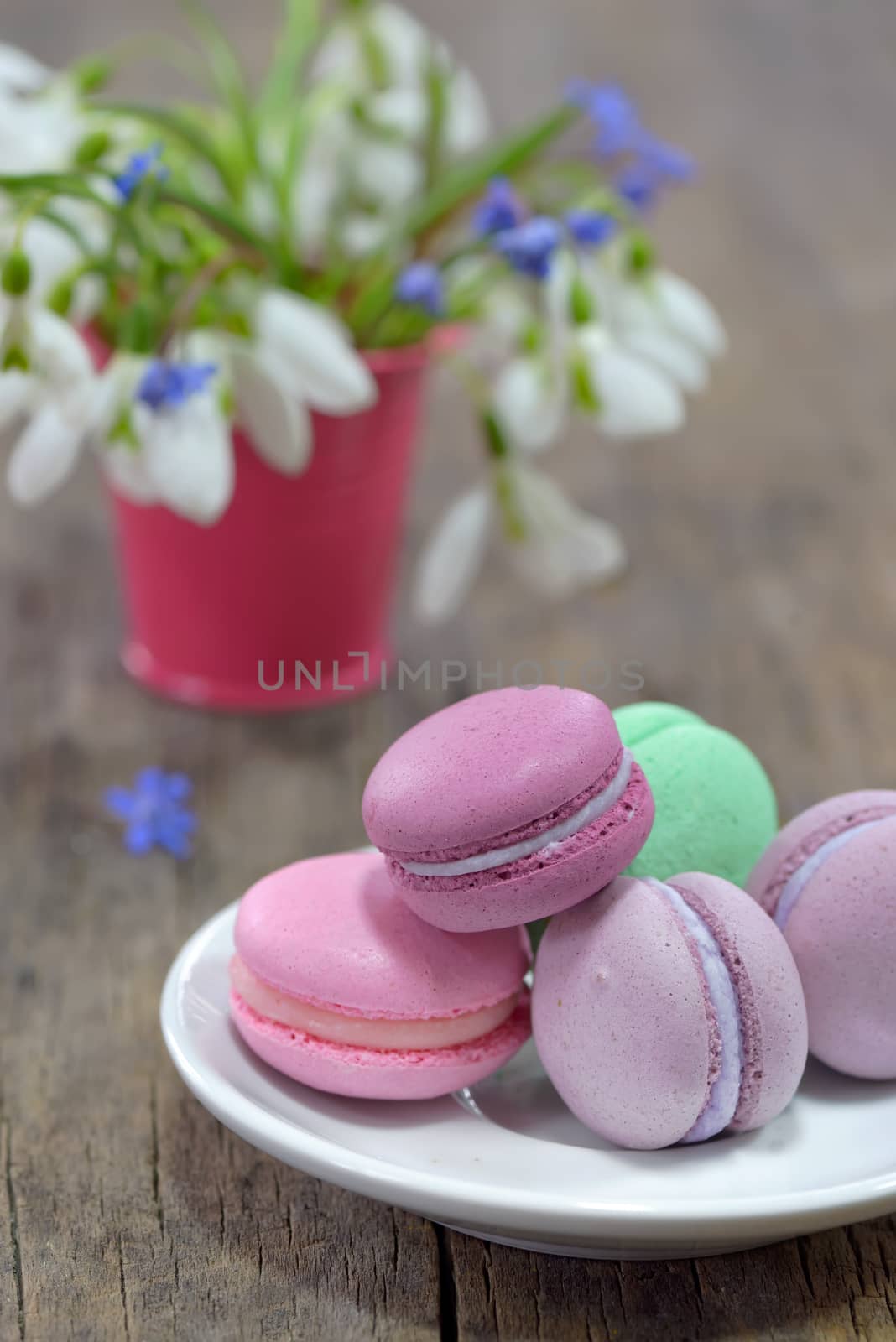 traditional french colorful macarons by mady70