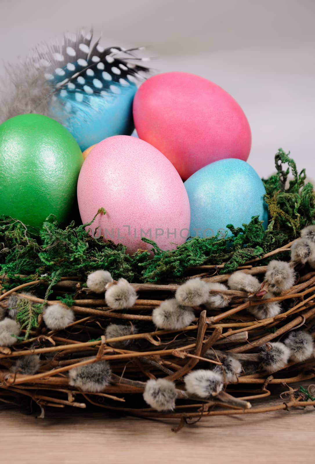Decorations for Easter. Bird's nest with moss lined with feathers, colored eggs and willow branches