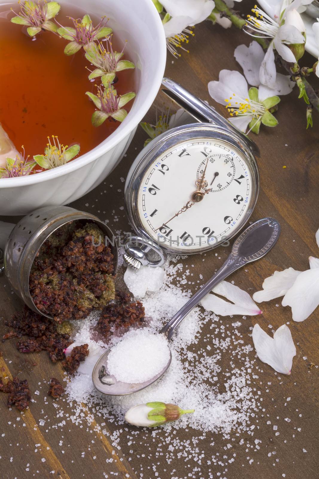 Pocket watch and teacup by osmar01