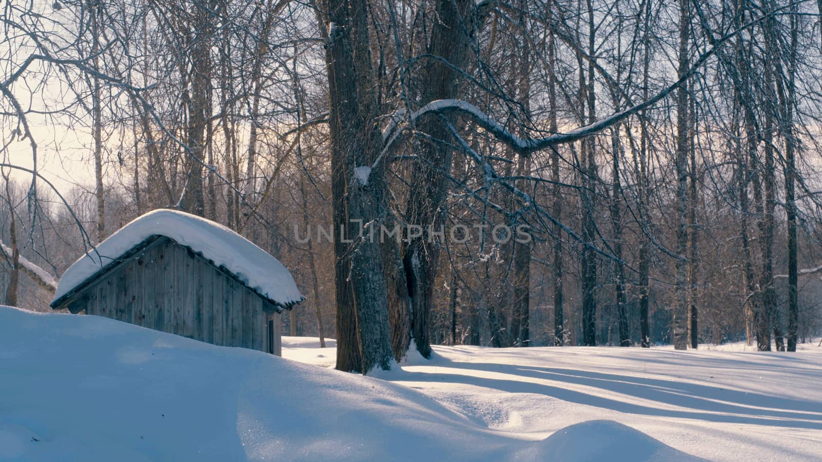 Winter forest in a hoarfrost. Small wooden house. Snowfall, 4K