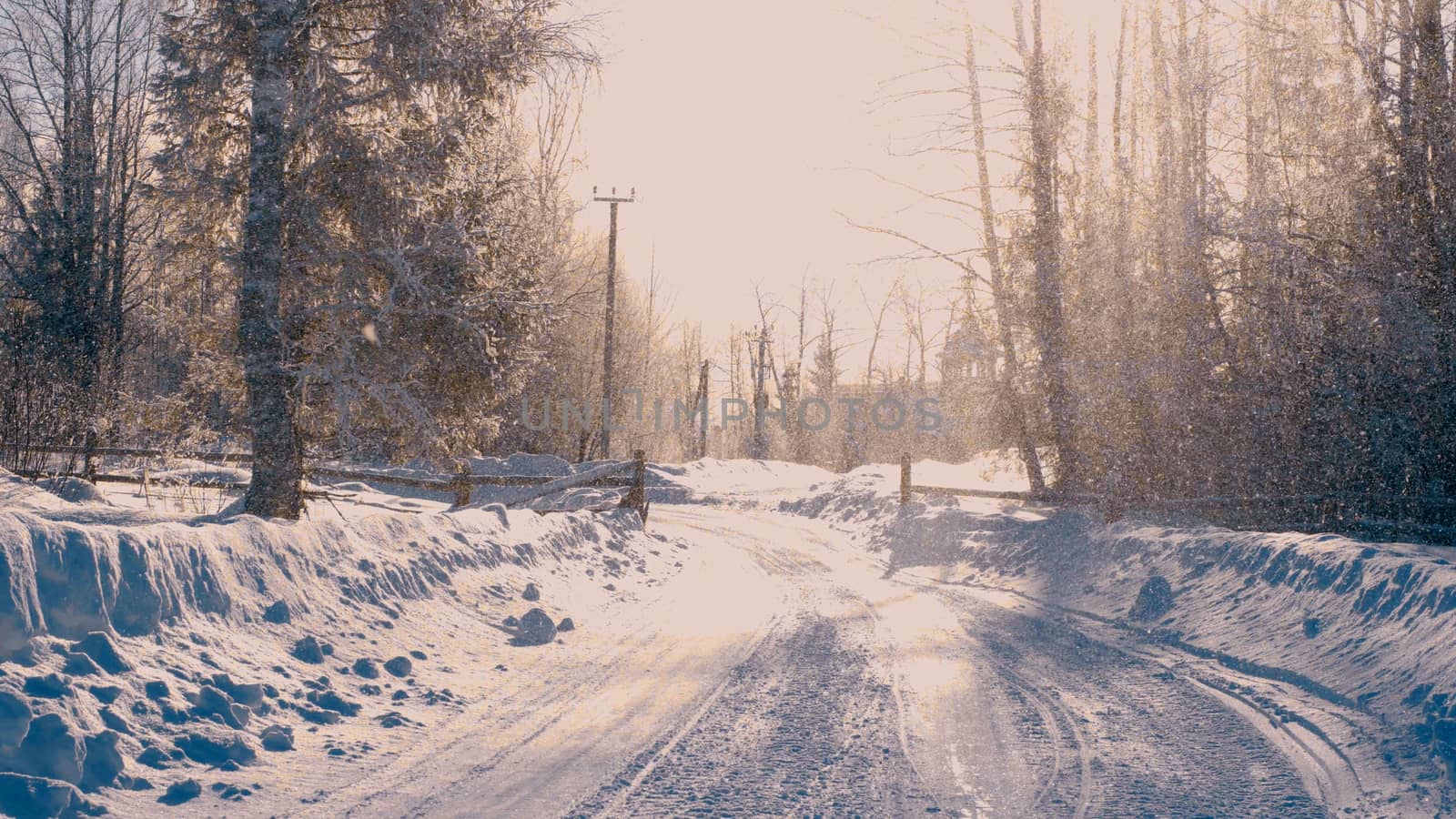 Winter forest in a hoarfrost. Snowfall. by Chudakov