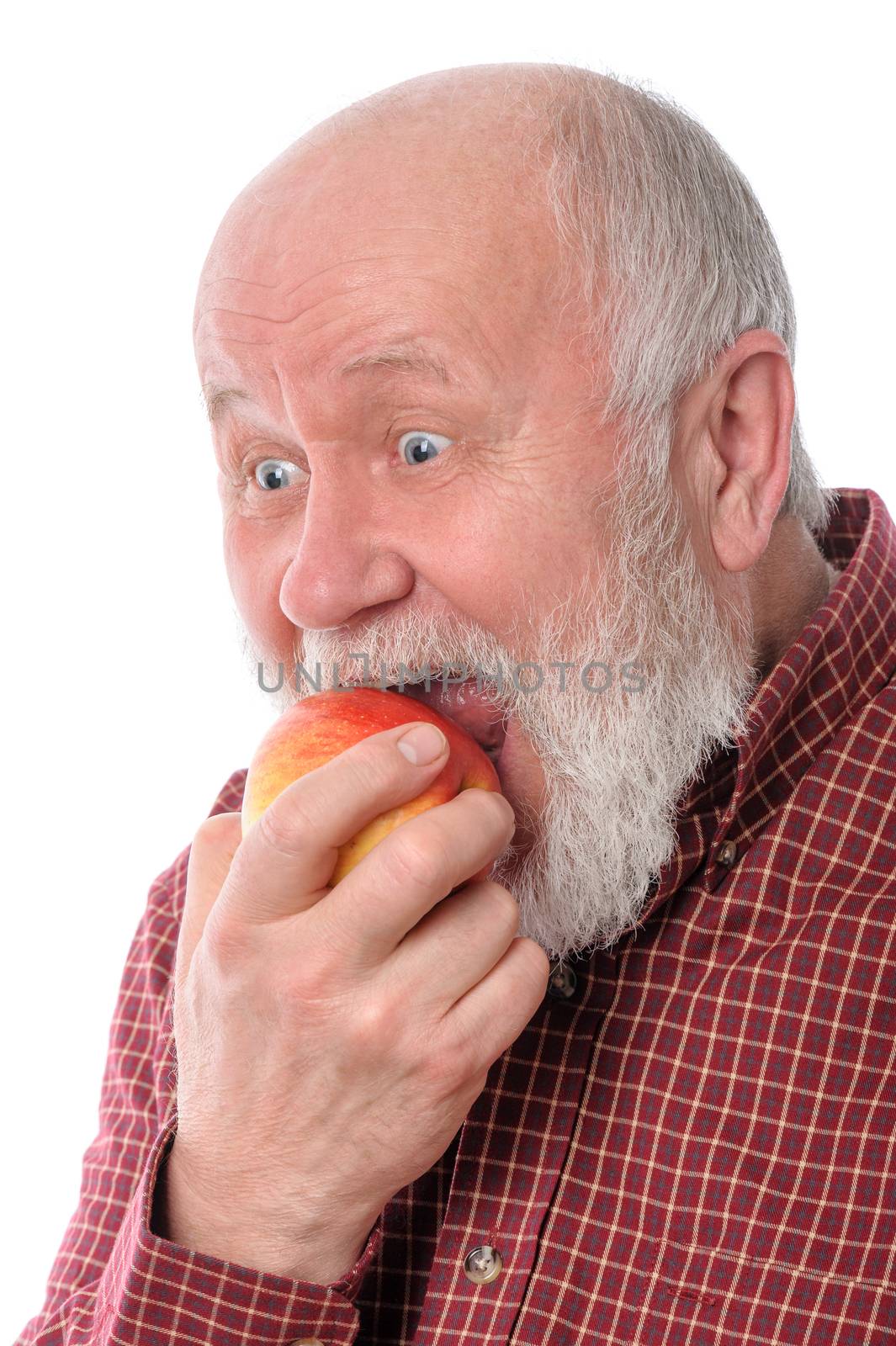 Cheerfull senior man eating the apple, isolated on white by starush