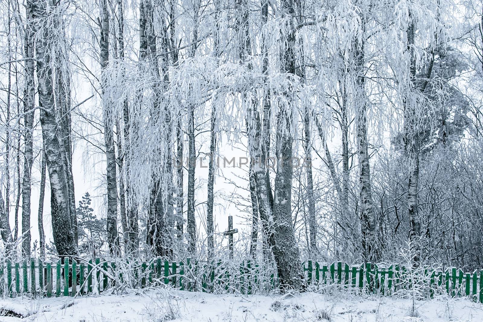 Old cemetery at abandoned  village by Multipedia