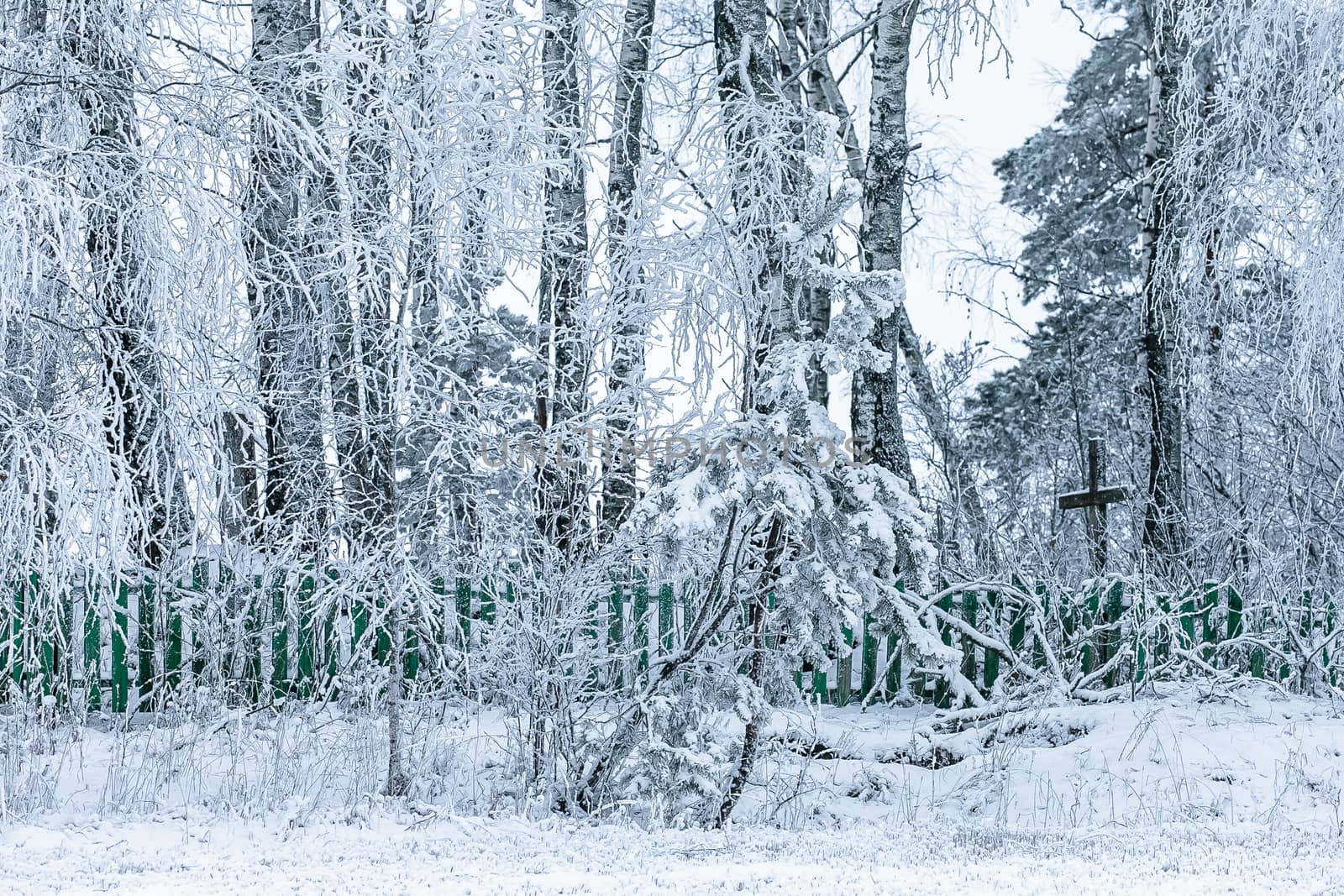 Old cemetery at abandoned  village in a winter day