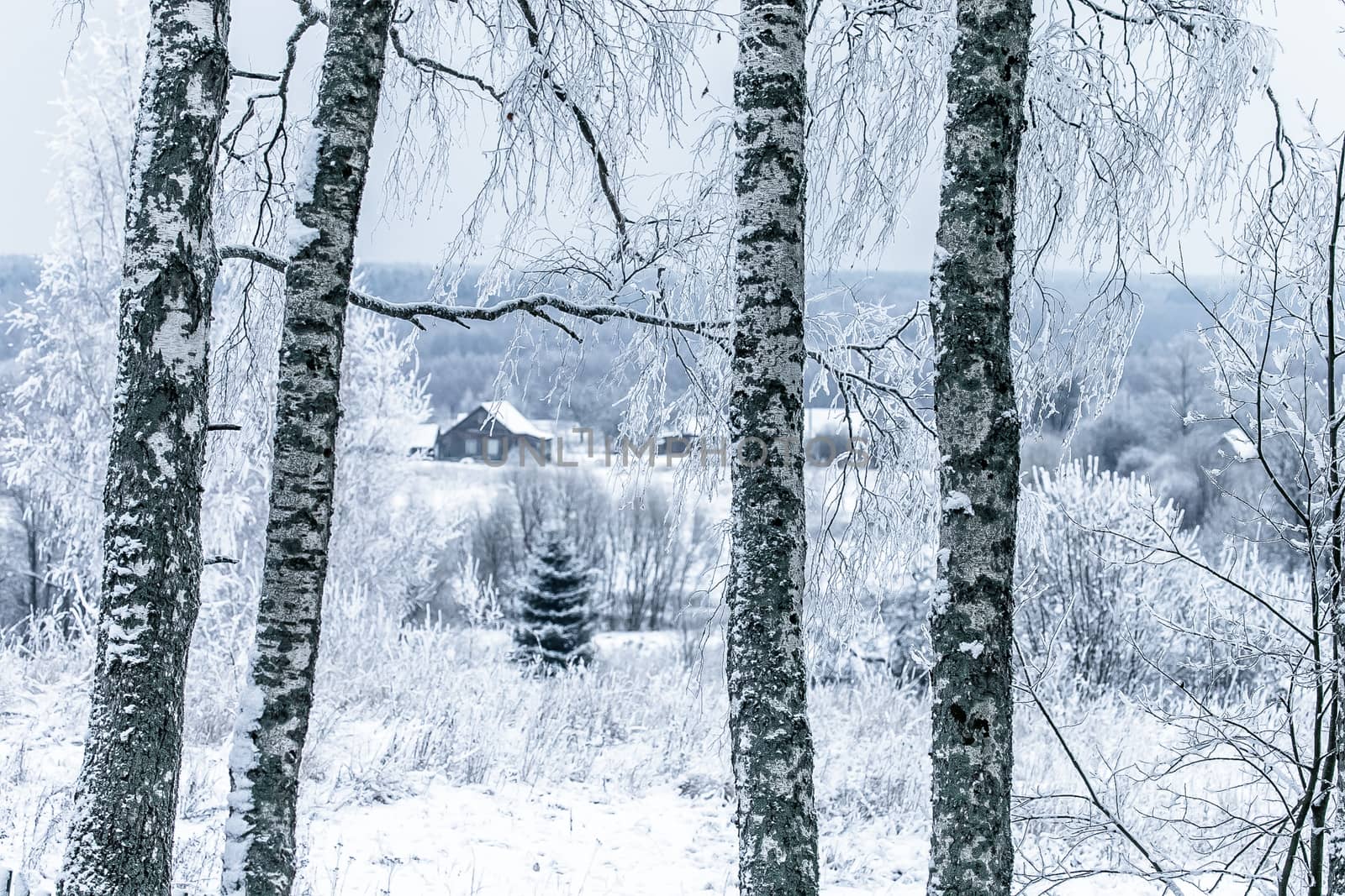 Old cemetery at abandoned  village in a winter day