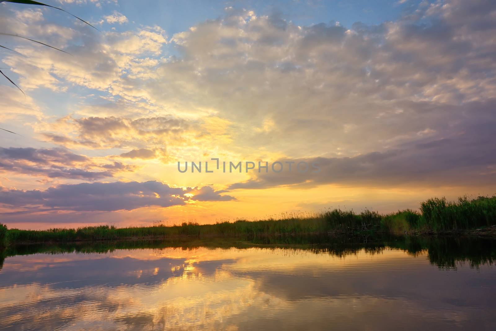 Sunset over danube delta in summer time