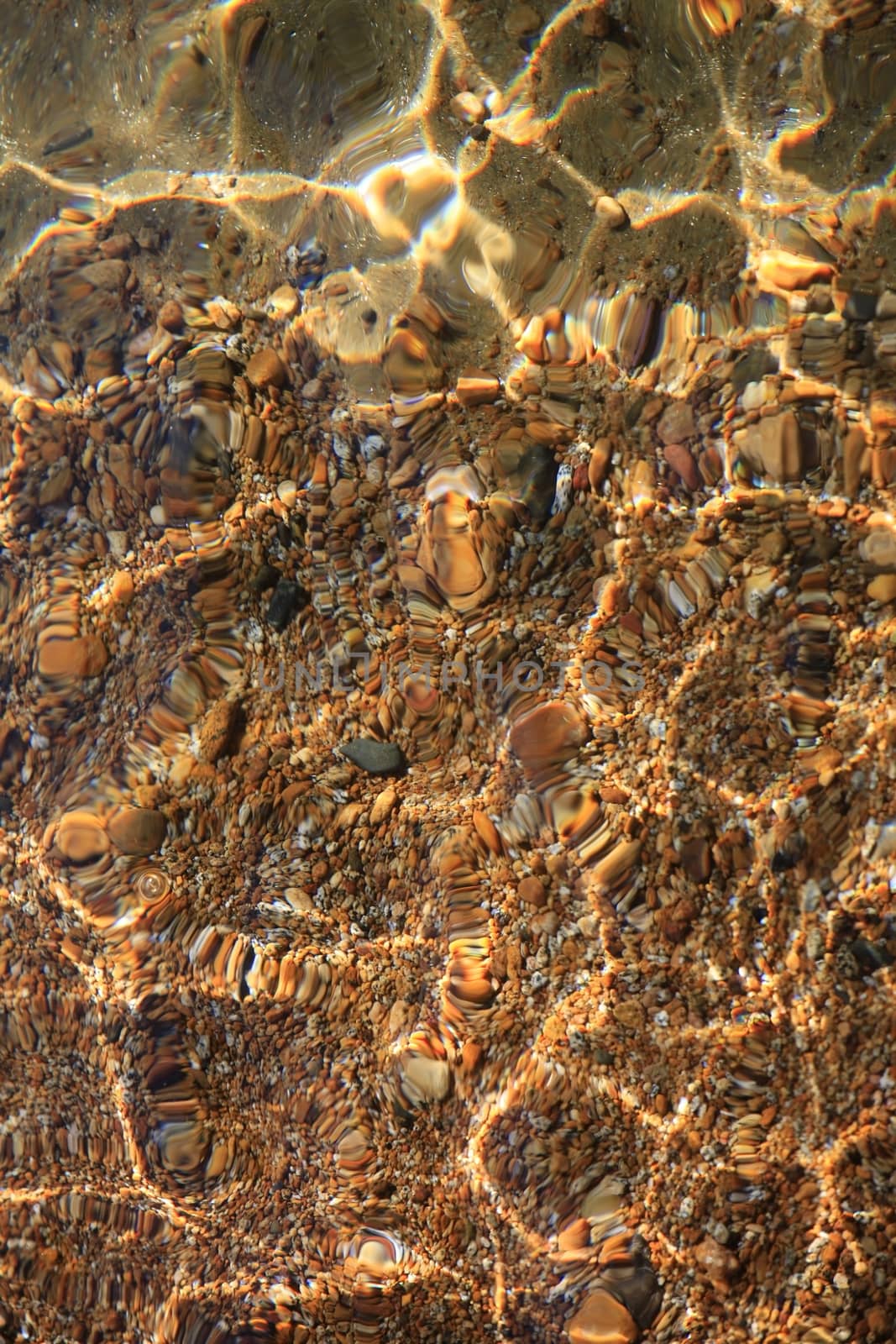 The bottom with clear water of Lake Tahoe