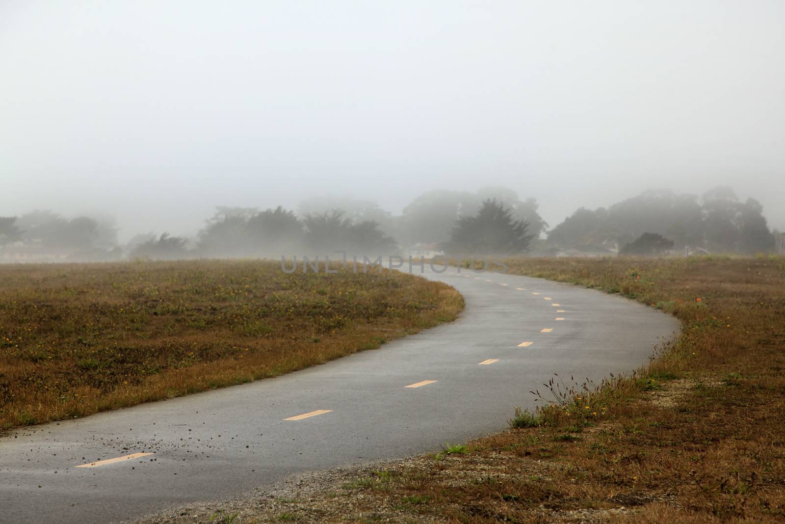 Foggy morning in California. USA