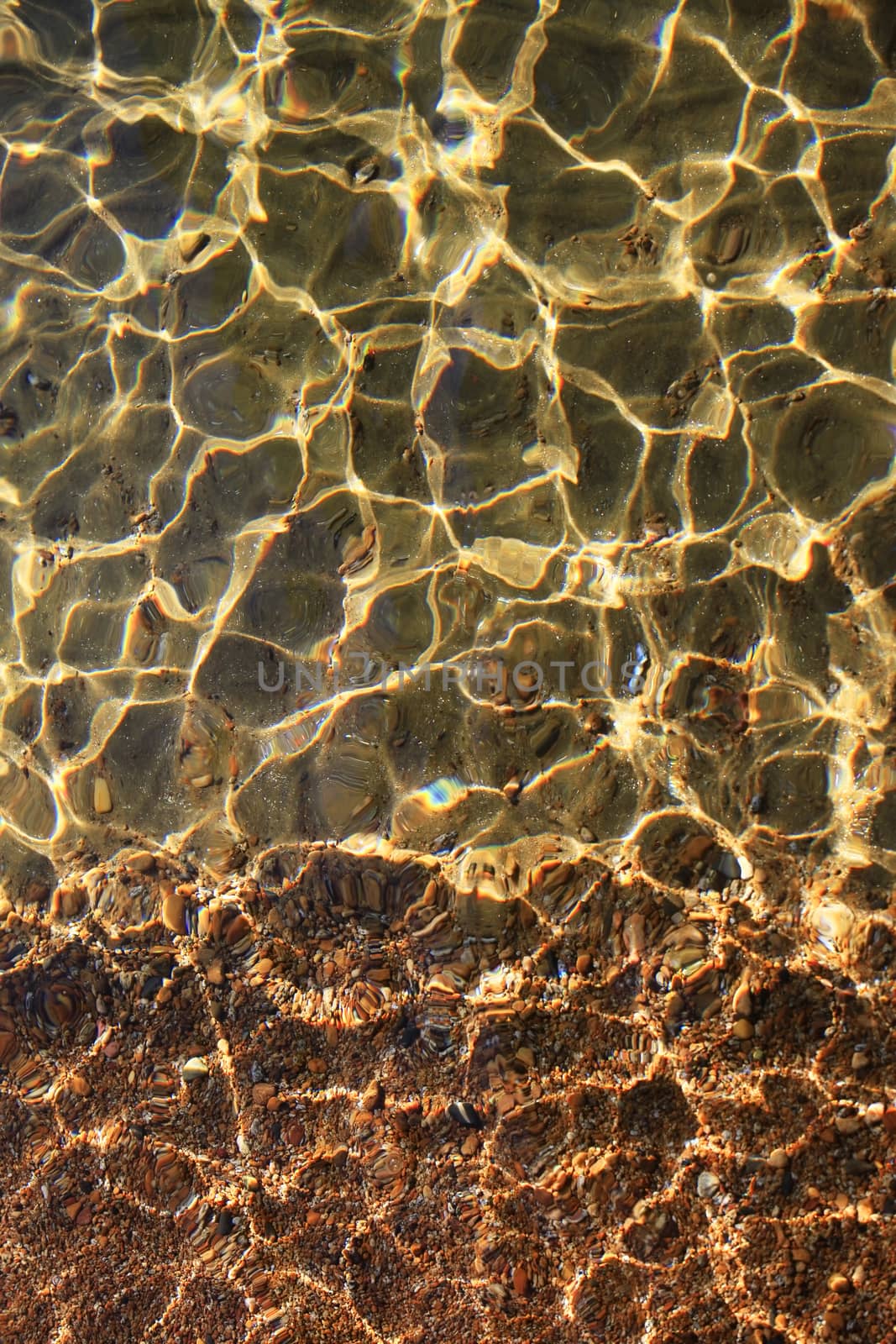 The bottom with clear water of Lake Tahoe