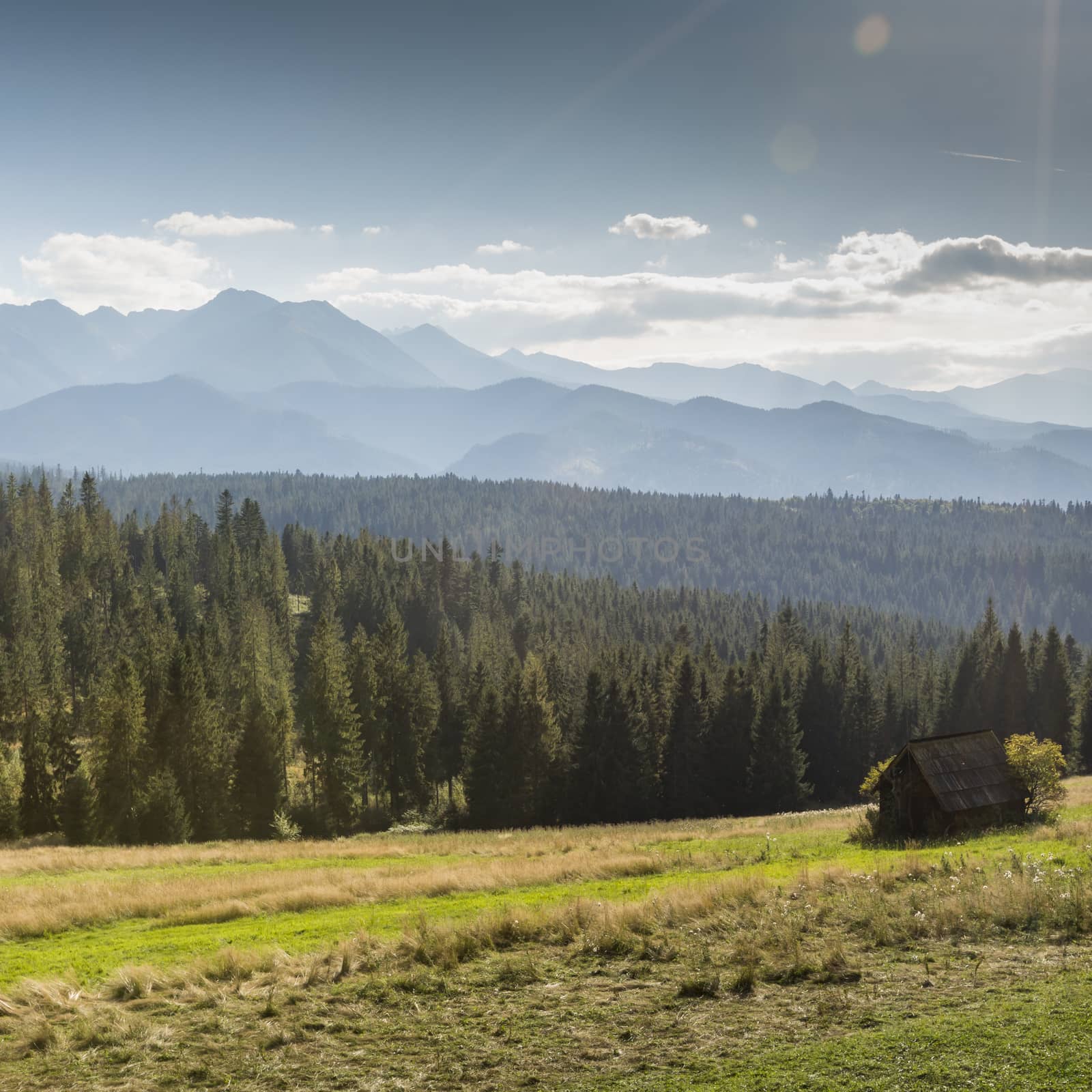 View of Tatra Mountains from hiking trail. Poland. Europe. by mariusz_prusaczyk