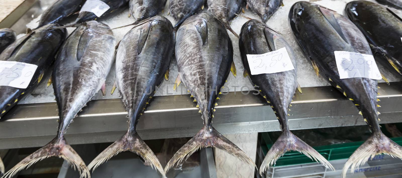 Fish market in Funchal, Madeira by mariusz_prusaczyk