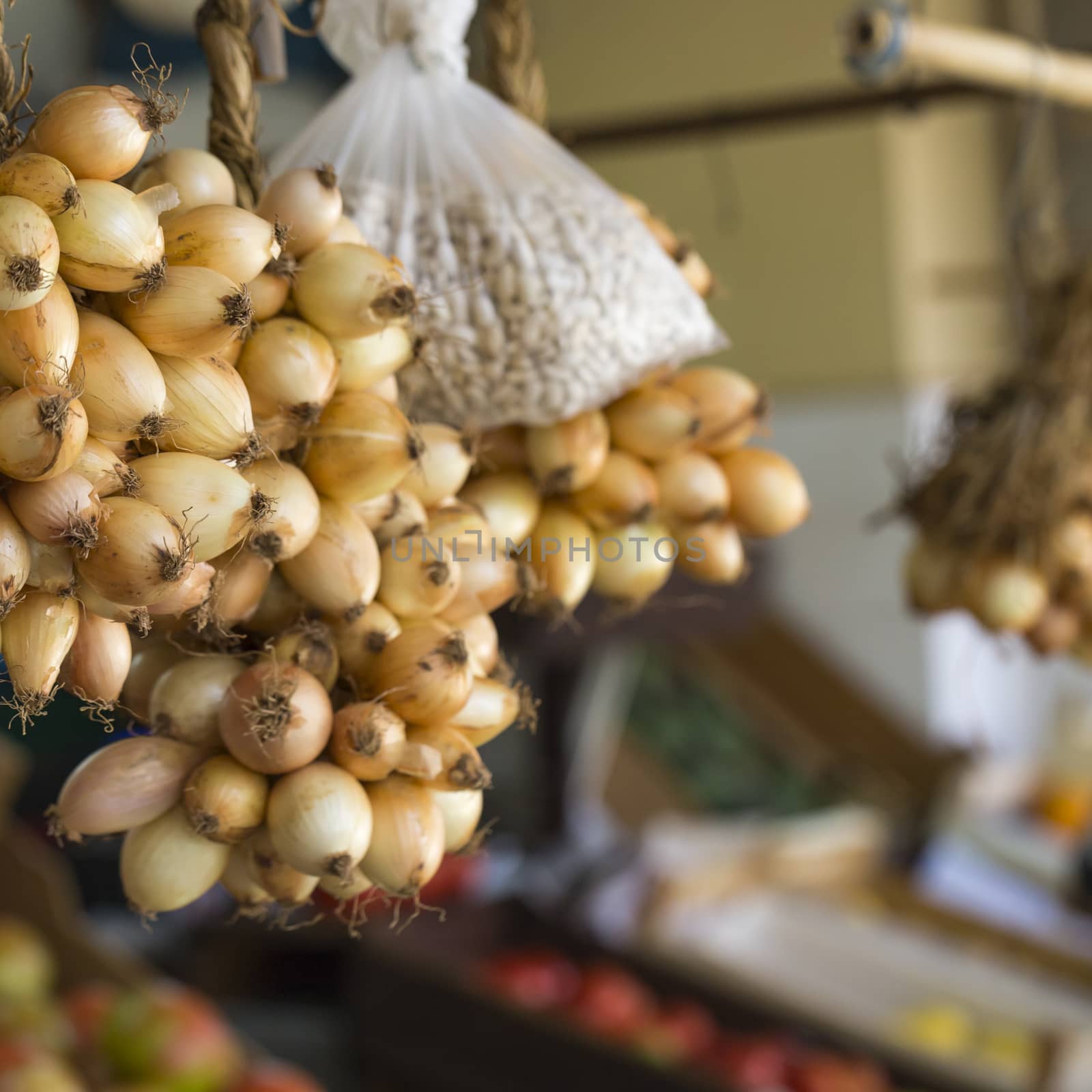 Many onions in the veranda

