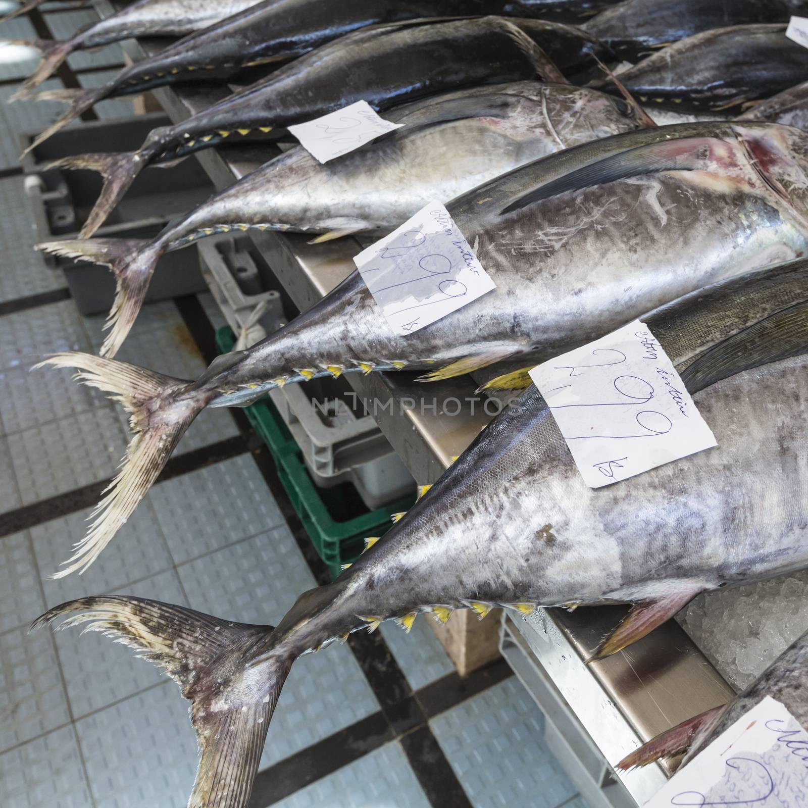 Fish market in Funchal, Madeira by mariusz_prusaczyk