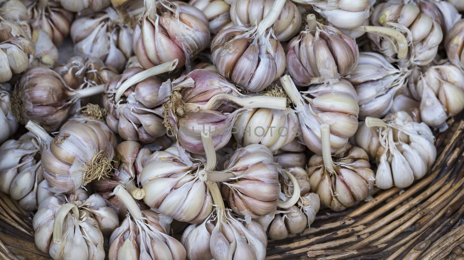 fresh garlics in a market

