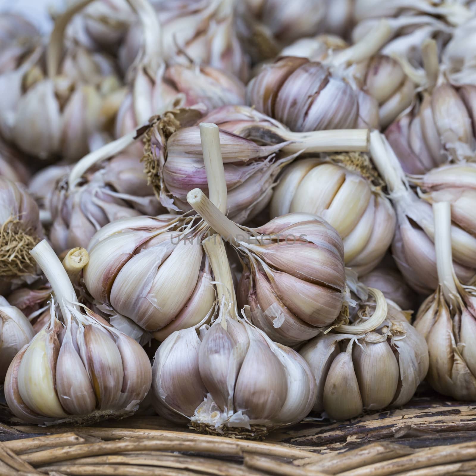 fresh garlics in a market by mariusz_prusaczyk