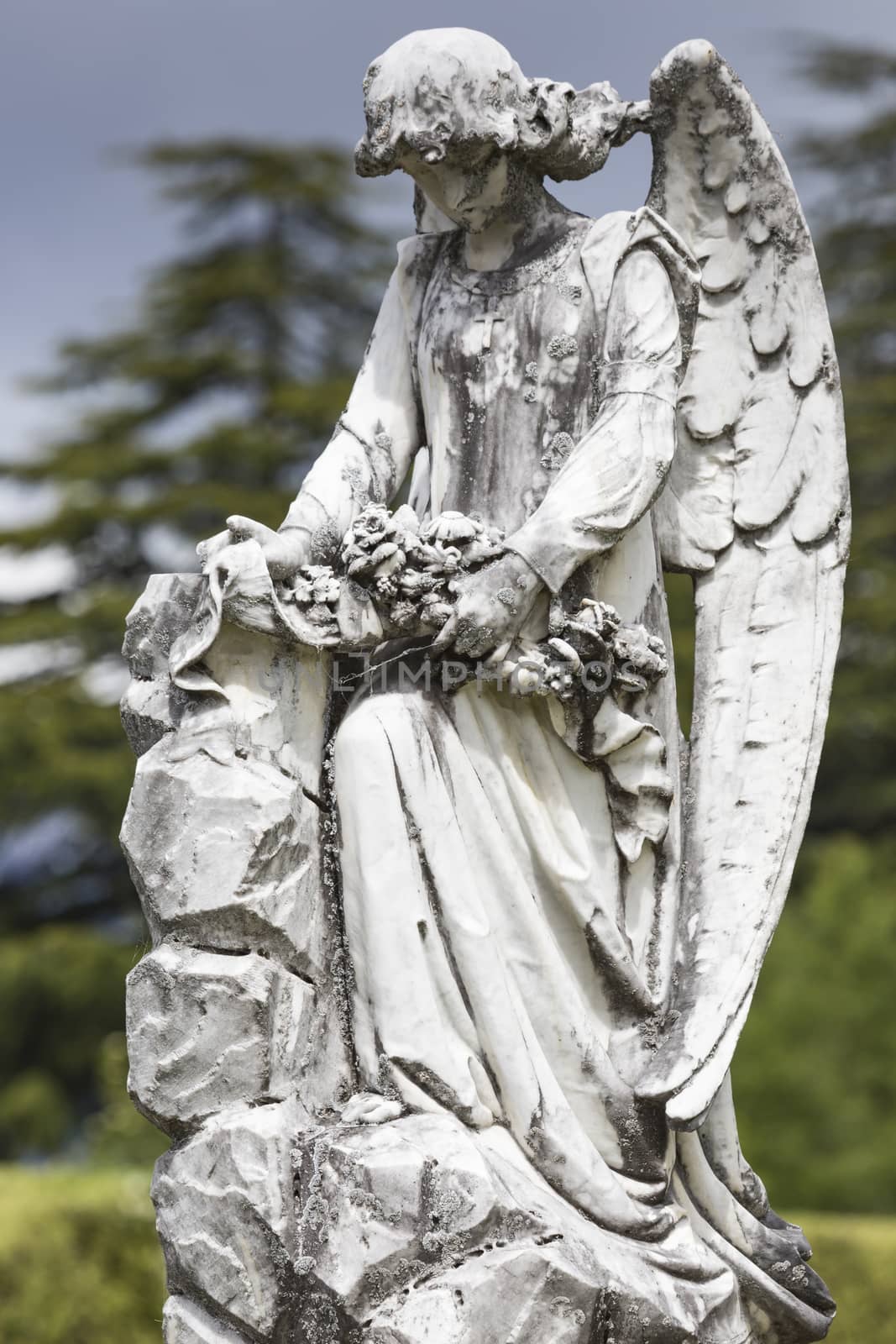 Selected cemetery statues

