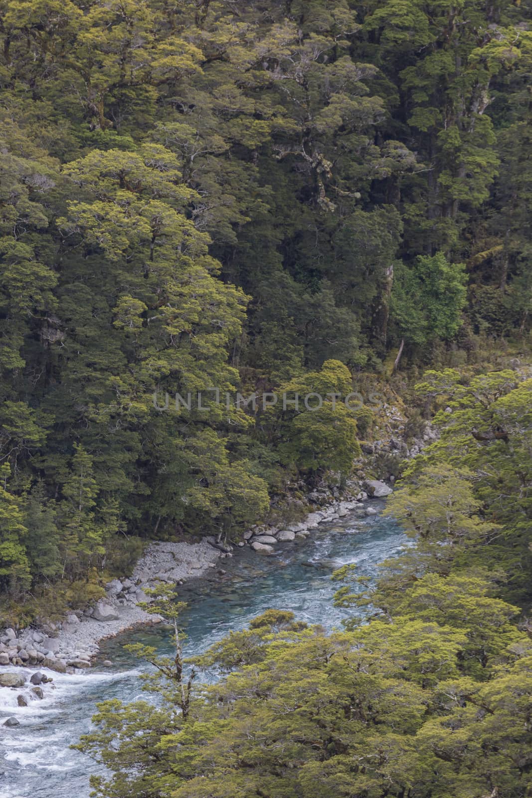 The Chasm (Fiordland, South Island, New Zealand)

