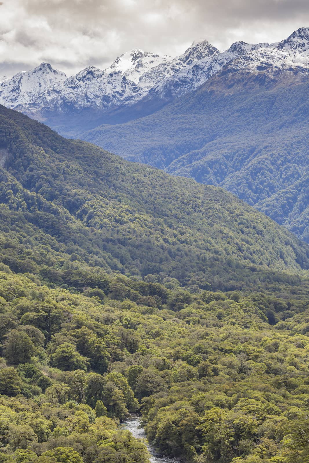 The Chasm (Fiordland, South Island, New Zealand)

